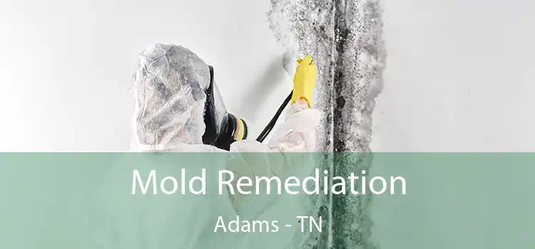 Mold Remediation Adams - TN