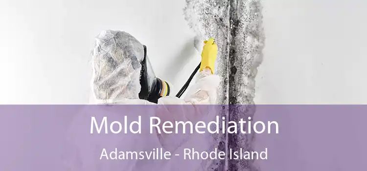 Mold Remediation Adamsville - Rhode Island