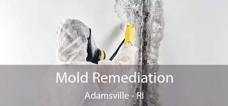 Mold Remediation Adamsville - RI