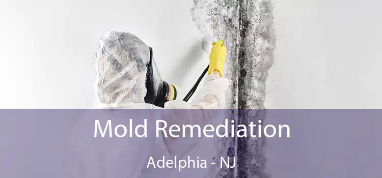 Mold Remediation Adelphia - NJ