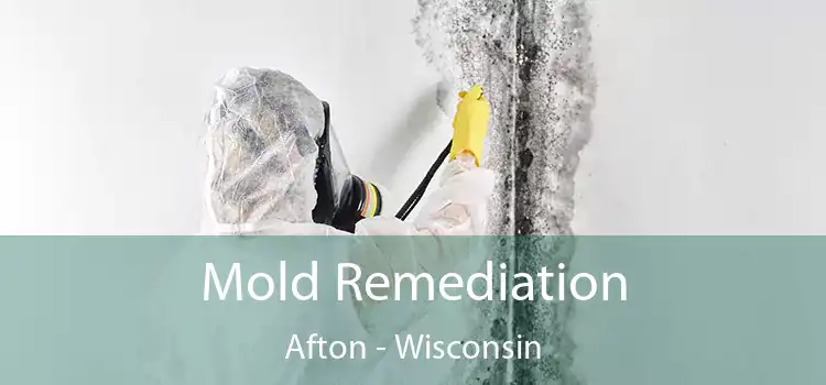 Mold Remediation Afton - Wisconsin