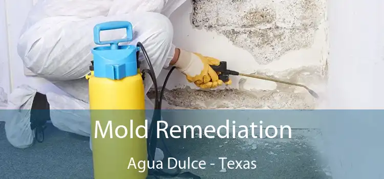 Mold Remediation Agua Dulce - Texas