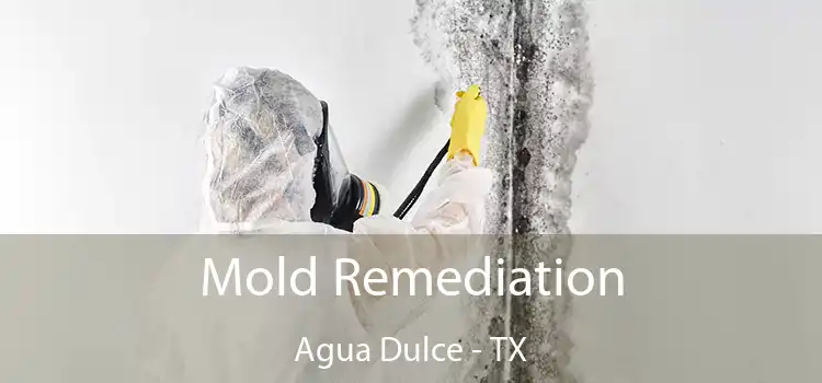 Mold Remediation Agua Dulce - TX