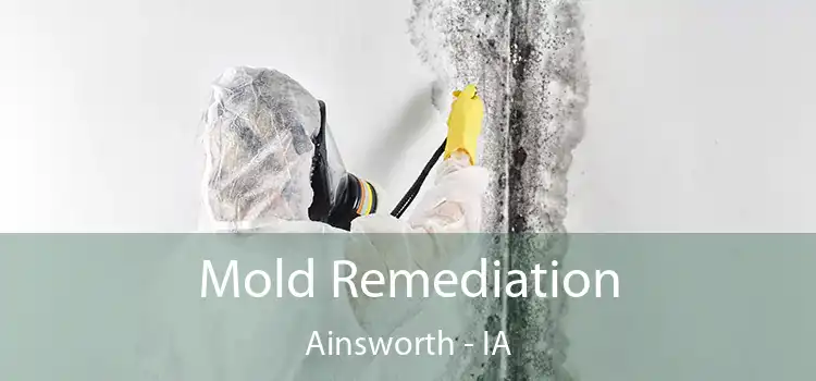 Mold Remediation Ainsworth - IA