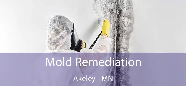 Mold Remediation Akeley - MN