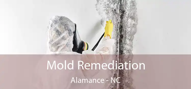 Mold Remediation Alamance - NC