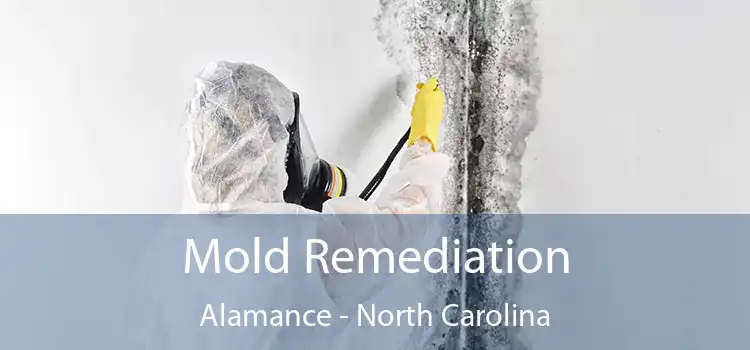 Mold Remediation Alamance - North Carolina