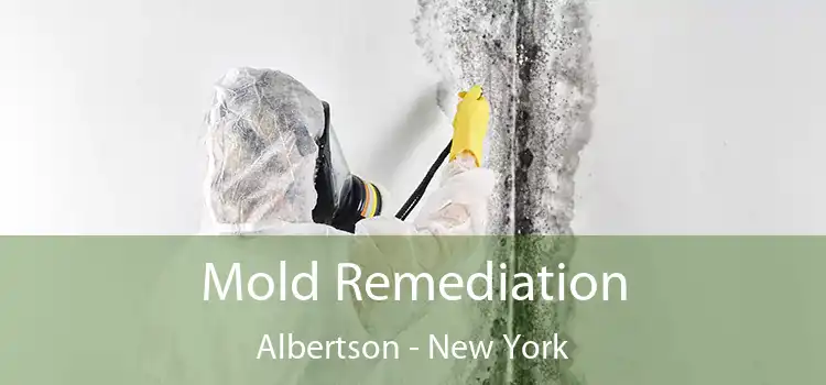 Mold Remediation Albertson - New York