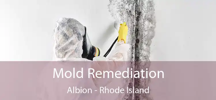 Mold Remediation Albion - Rhode Island