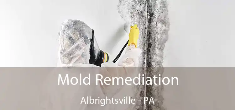 Mold Remediation Albrightsville - PA