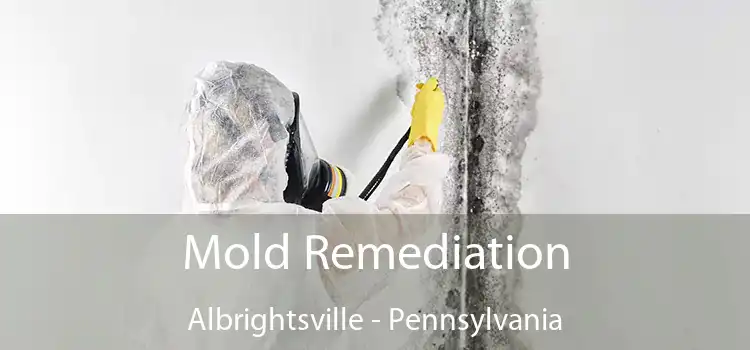 Mold Remediation Albrightsville - Pennsylvania