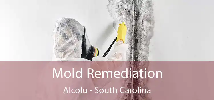 Mold Remediation Alcolu - South Carolina