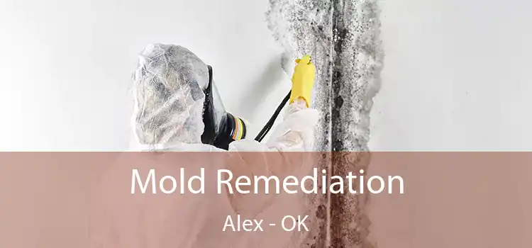 Mold Remediation Alex - OK