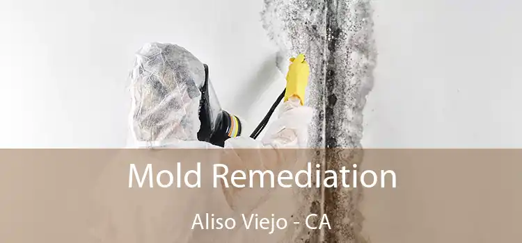 Mold Remediation Aliso Viejo - CA