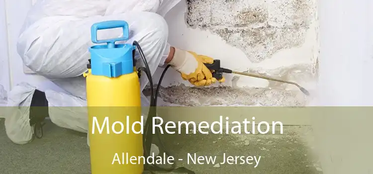 Mold Remediation Allendale - New Jersey