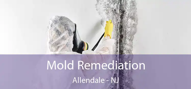 Mold Remediation Allendale - NJ