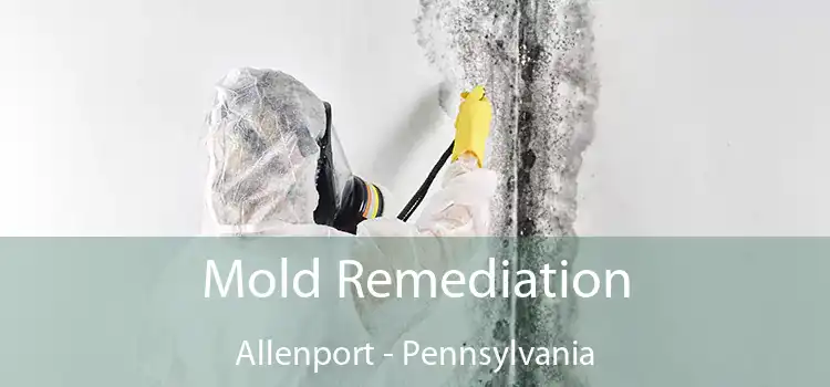 Mold Remediation Allenport - Pennsylvania