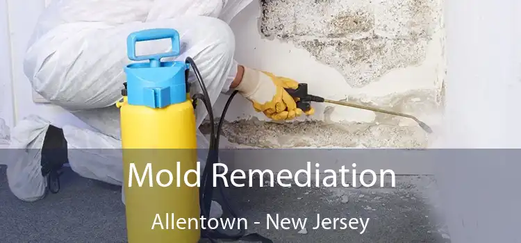 Mold Remediation Allentown - New Jersey