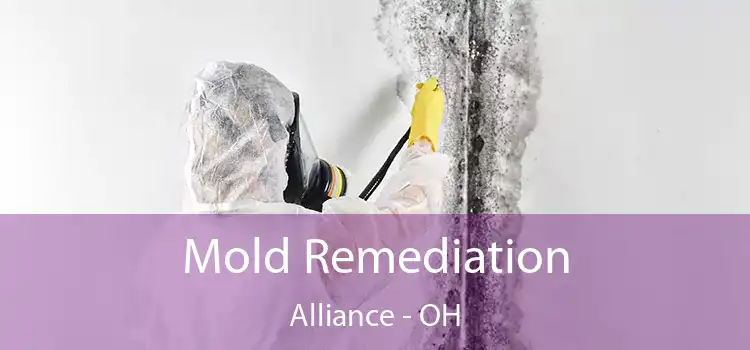 Mold Remediation Alliance - OH