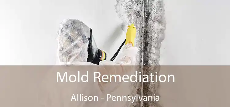 Mold Remediation Allison - Pennsylvania