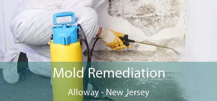 Mold Remediation Alloway - New Jersey