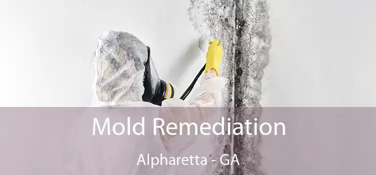 Mold Remediation Alpharetta - GA