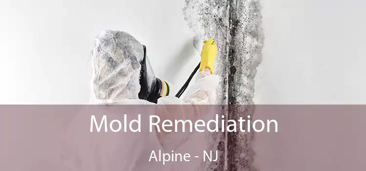 Mold Remediation Alpine - NJ