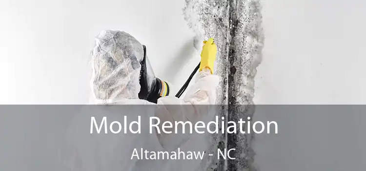 Mold Remediation Altamahaw - NC