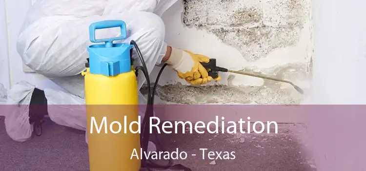 Mold Remediation Alvarado - Texas