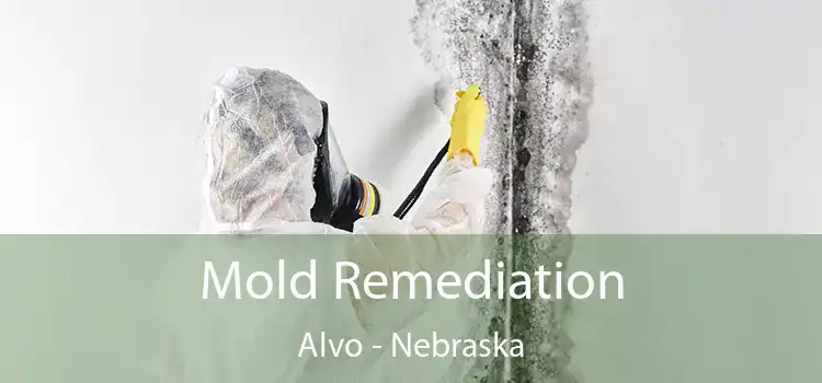 Mold Remediation Alvo - Nebraska