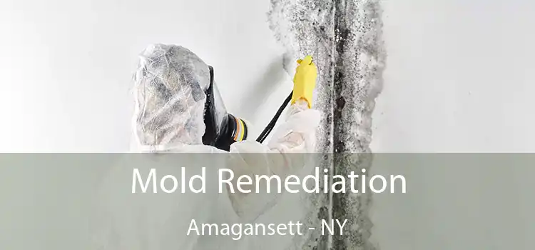 Mold Remediation Amagansett - NY