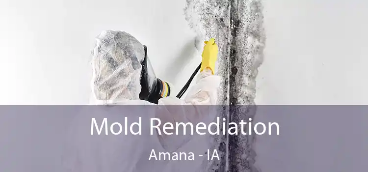 Mold Remediation Amana - IA