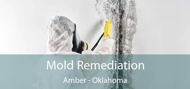 Mold Remediation Amber - Oklahoma