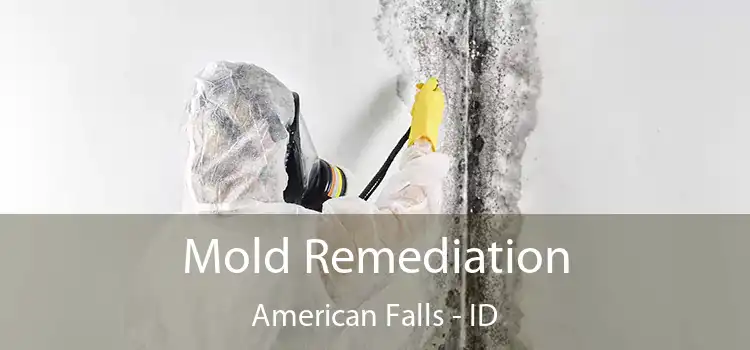 Mold Remediation American Falls - ID