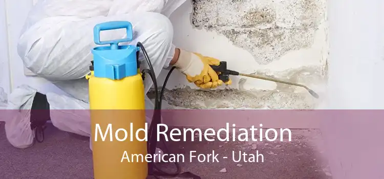 Mold Remediation American Fork - Utah