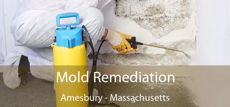 Mold Remediation Amesbury - Massachusetts