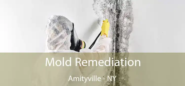 Mold Remediation Amityville - NY