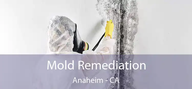 Mold Remediation Anaheim - CA