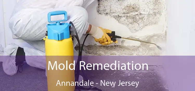 Mold Remediation Annandale - New Jersey