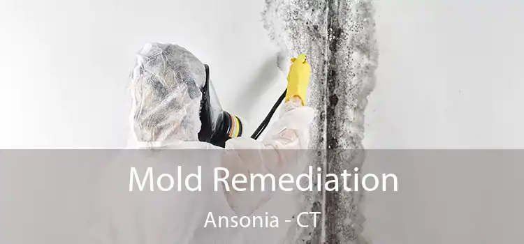 Mold Remediation Ansonia - CT