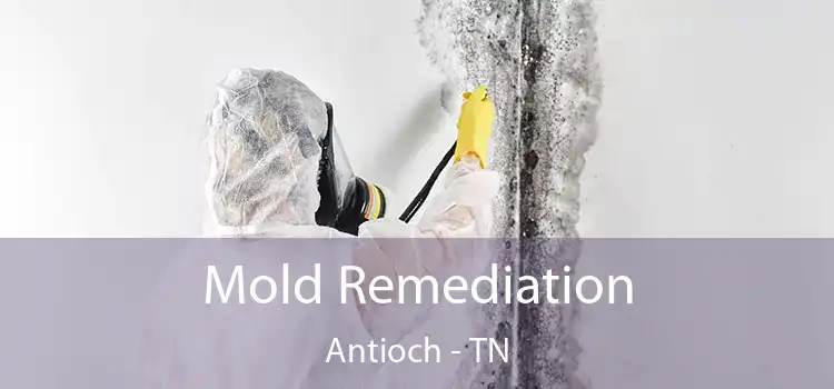 Mold Remediation Antioch - TN