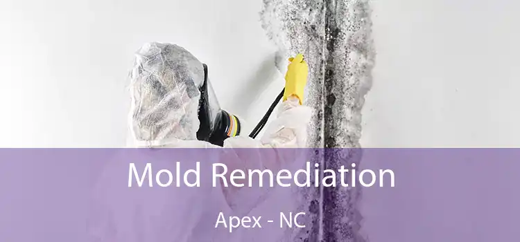 Mold Remediation Apex - NC