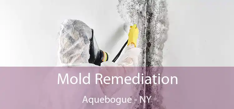 Mold Remediation Aquebogue - NY