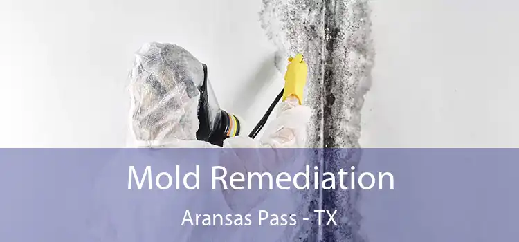 Mold Remediation Aransas Pass - TX