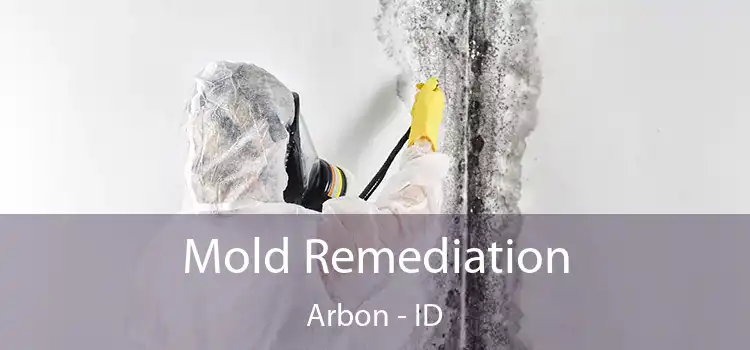 Mold Remediation Arbon - ID