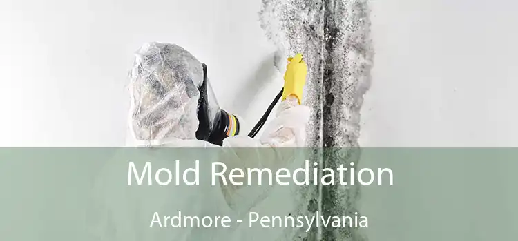 Mold Remediation Ardmore - Pennsylvania