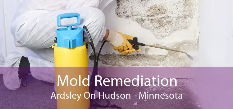 Mold Remediation Ardsley On Hudson - Minnesota