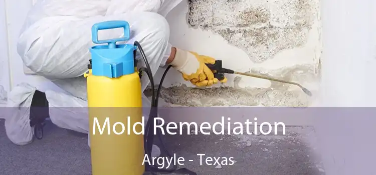 Mold Remediation Argyle - Texas