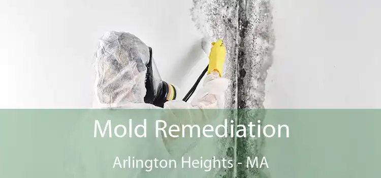 Mold Remediation Arlington Heights - MA