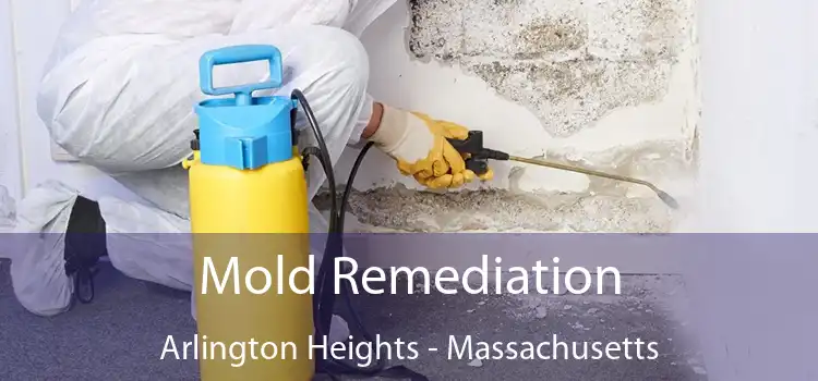 Mold Remediation Arlington Heights - Massachusetts